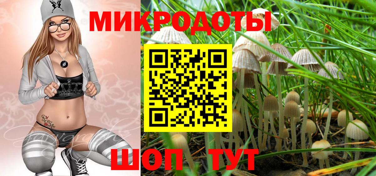 Шелехов  Псилоцибиновые грибы Cubensis  Вход с VPN  Галлюциногенные грибы ЛСД 